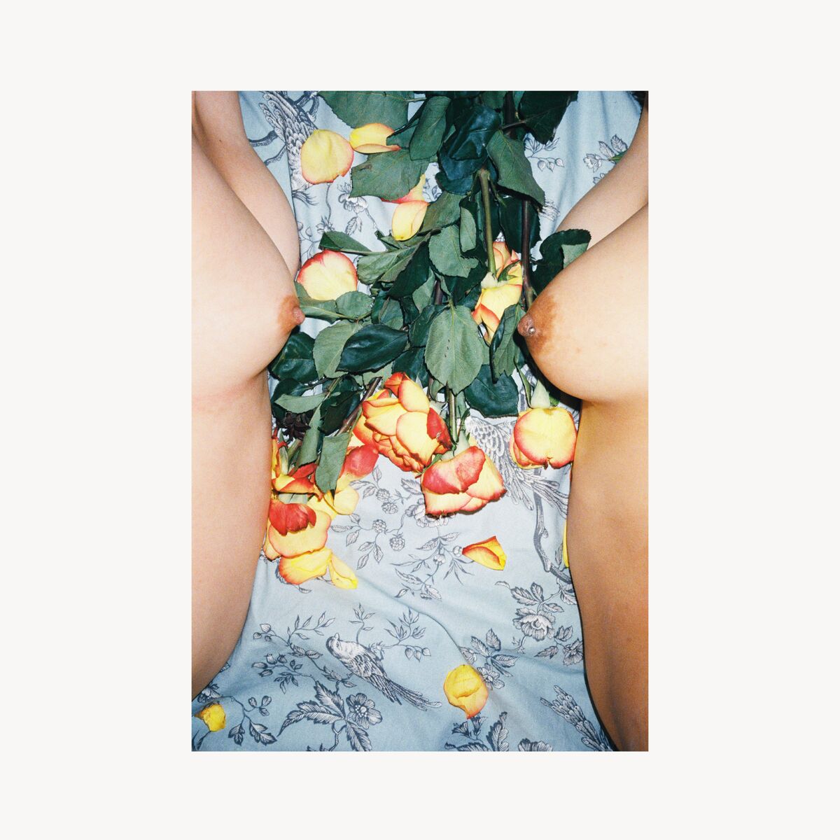 Rive Droite The Distance Of Skin - Black