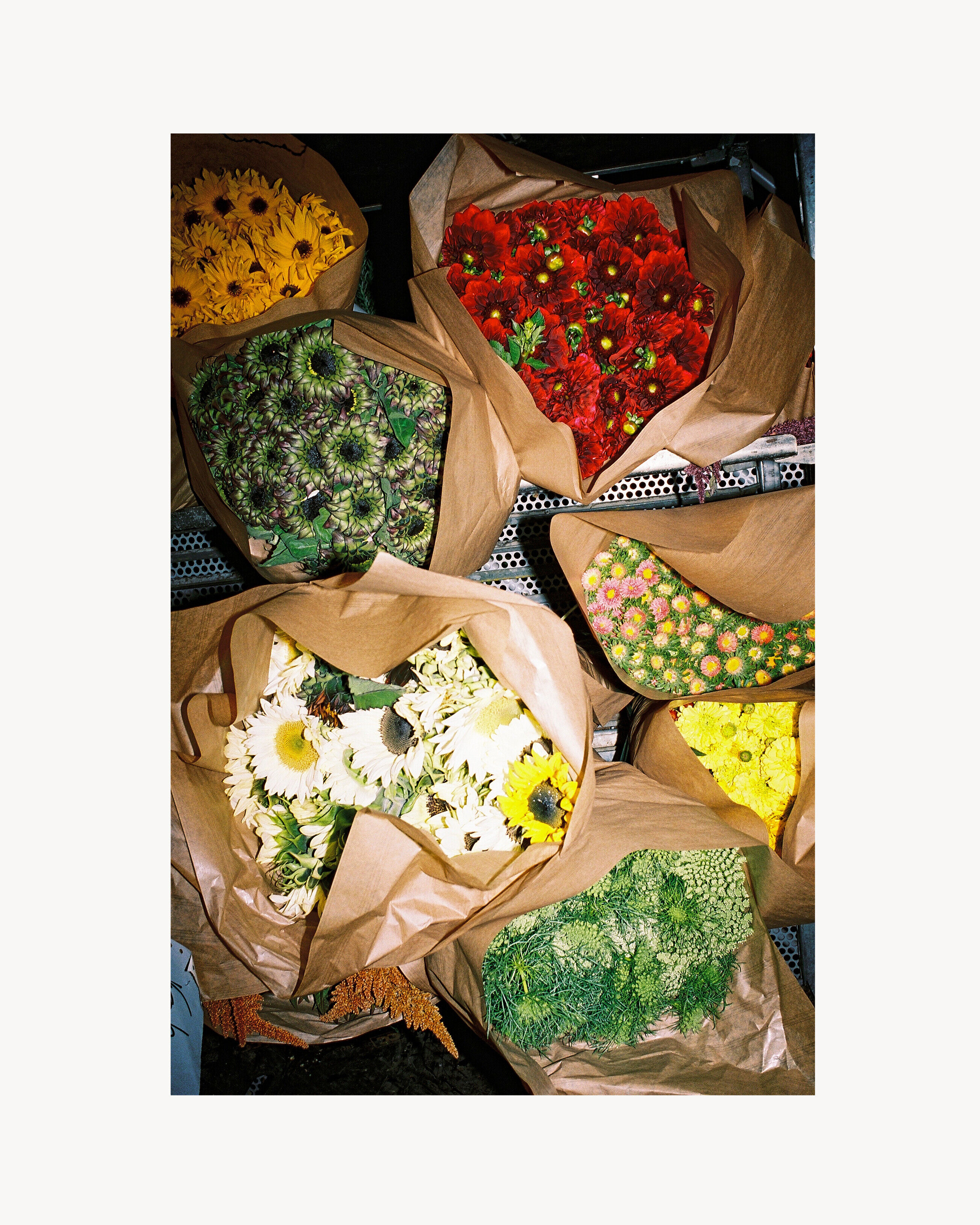 Rive Droite 5h35 - Black