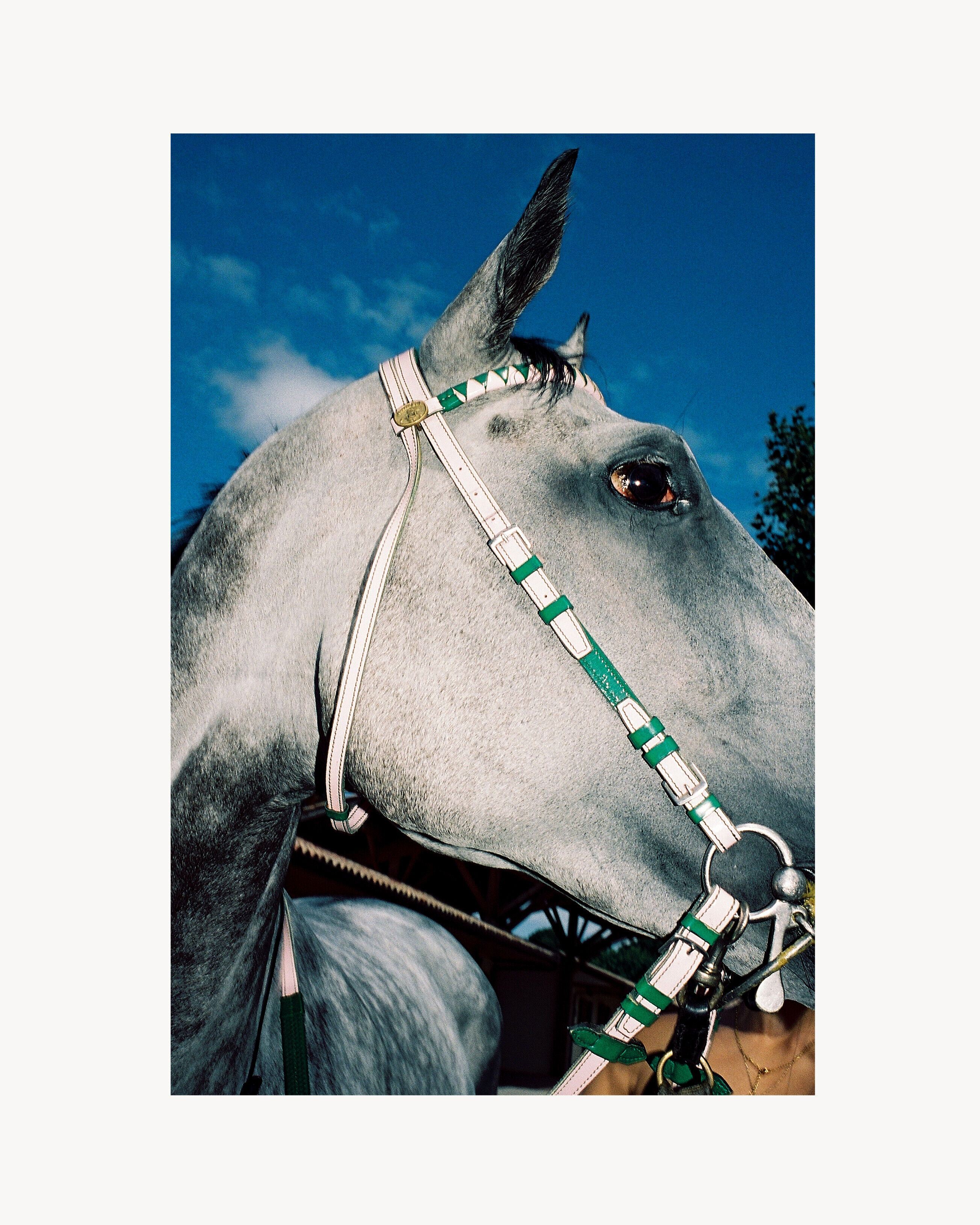 Rive Droite Untitled - Nero