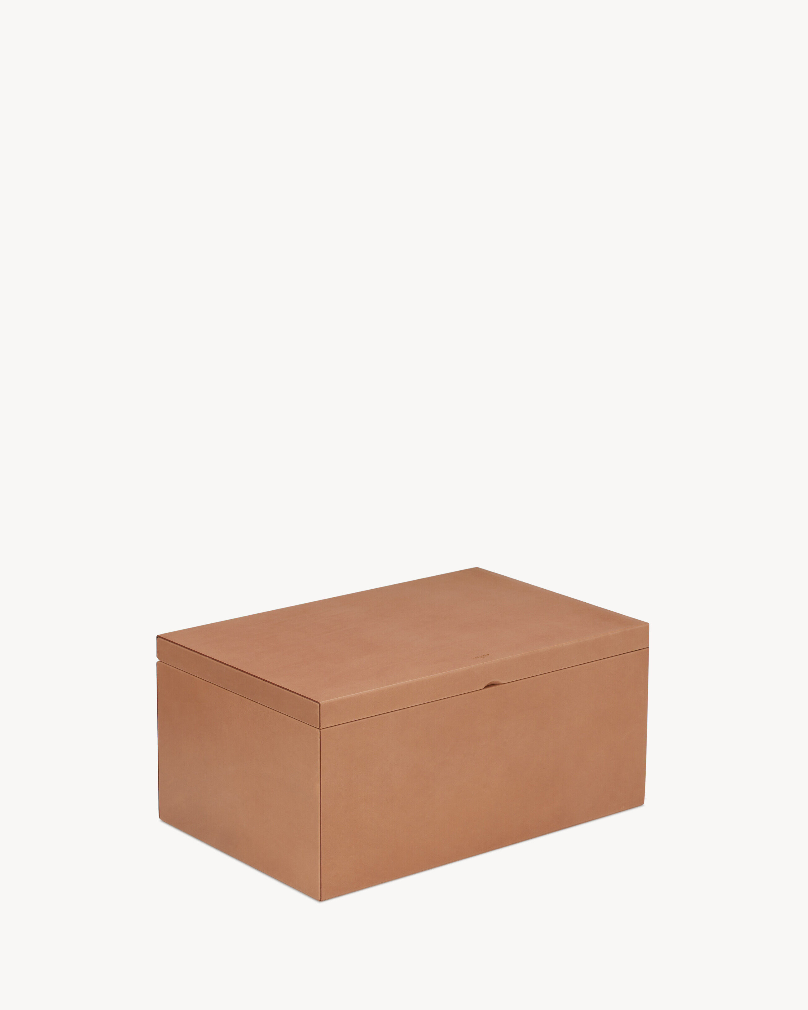 Rive Droite Large Box In Vegetable-Tanned Leather - Amber