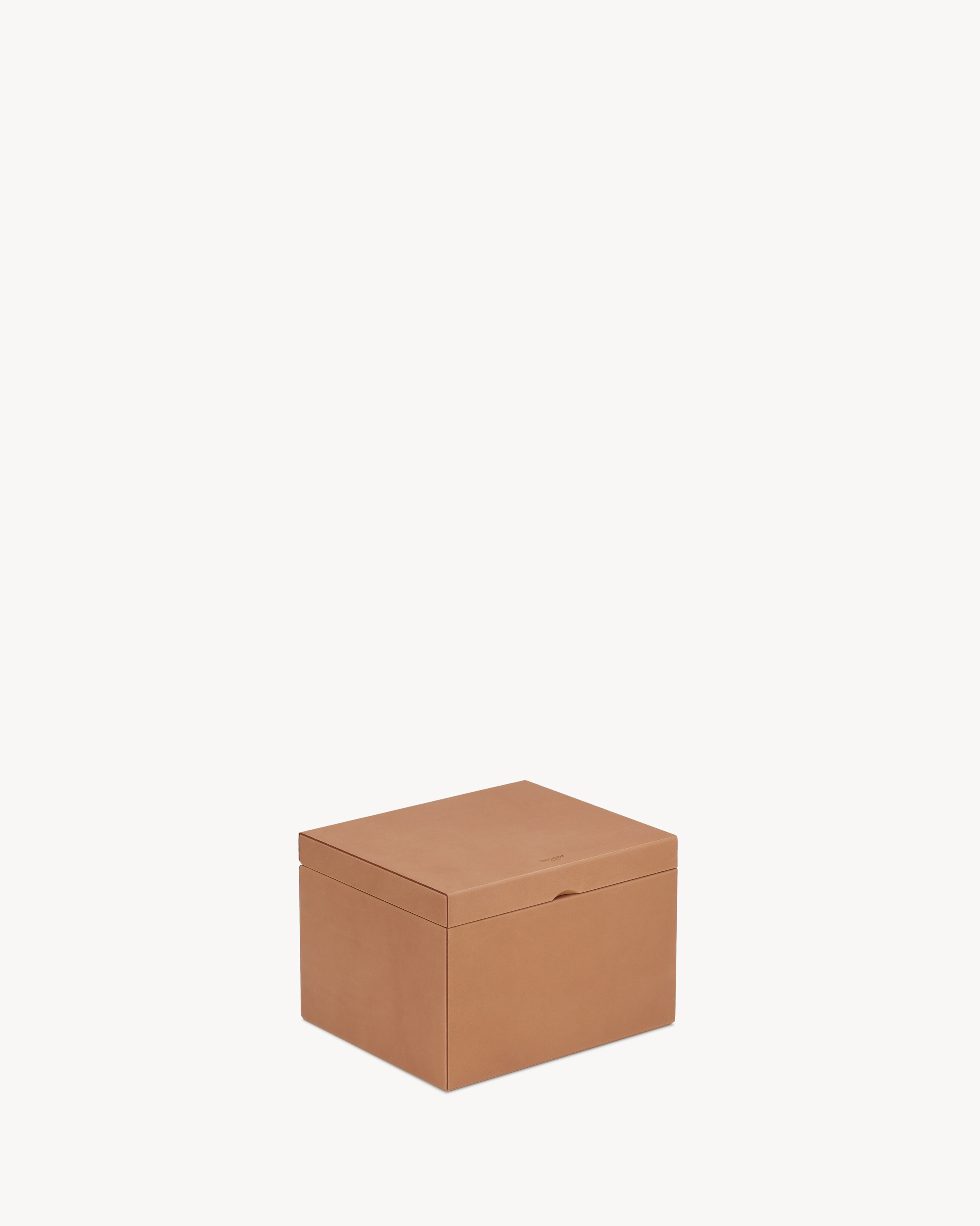 Rive Droite Small Box In Vegetable-Tanned Leather - Amber